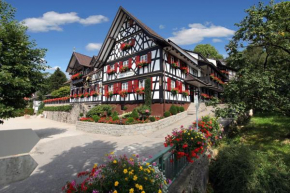 Rebstock Waldulm Kappelrodeck
